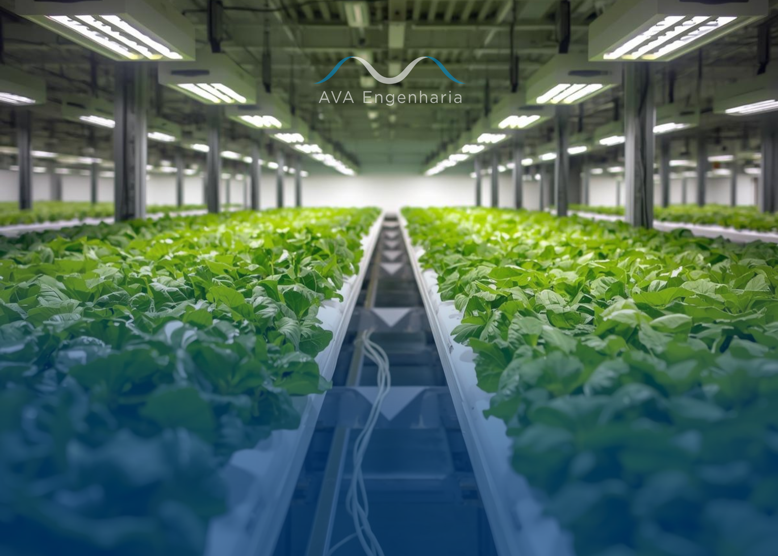 Agricultura em Ambiente Controlado (CEA): Um Novo Horizonte para ambientes controlados.